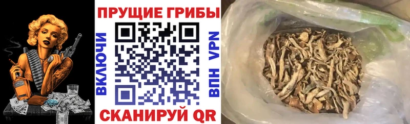 Псилоцибиновые грибы MAGIC MUSHROOMS  Сосногорск 